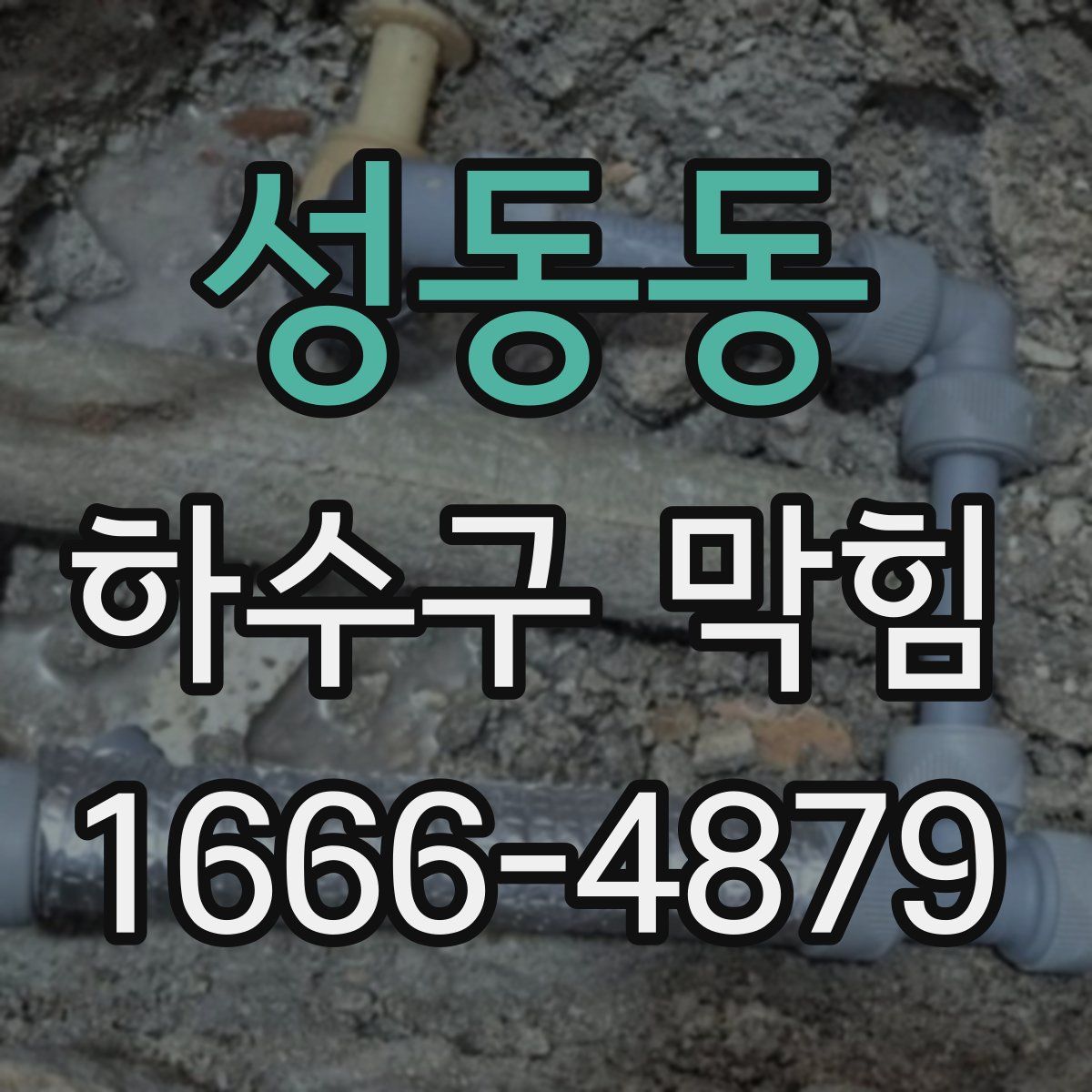 성동동 하수구 막힘
