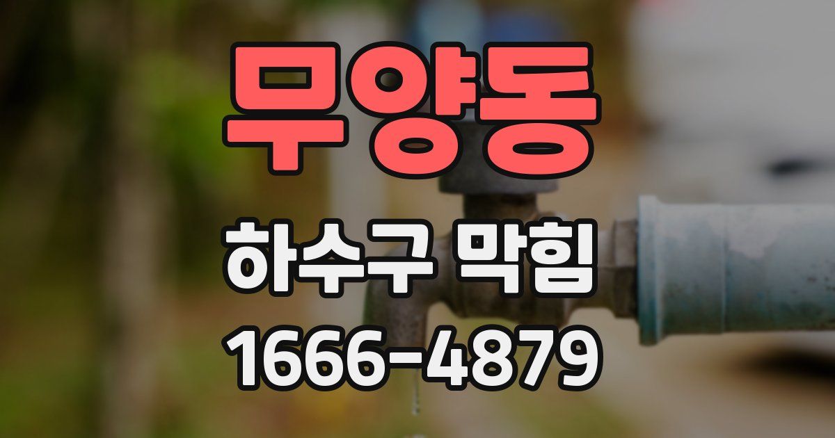 무양동 하수구 막힘