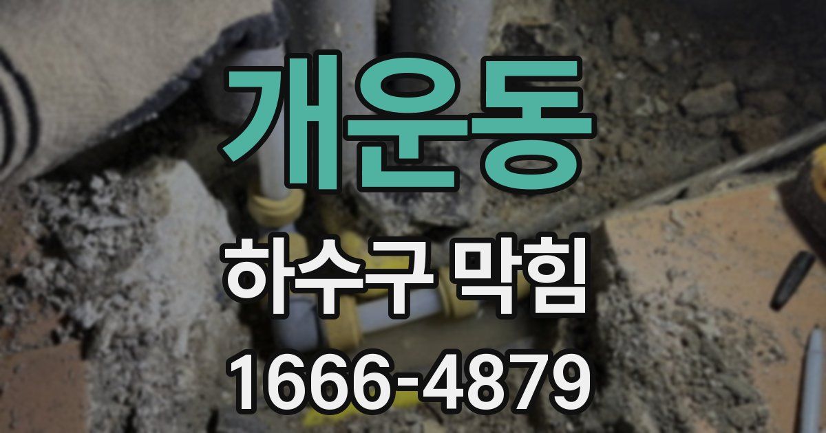 개운동 하수구 막힘