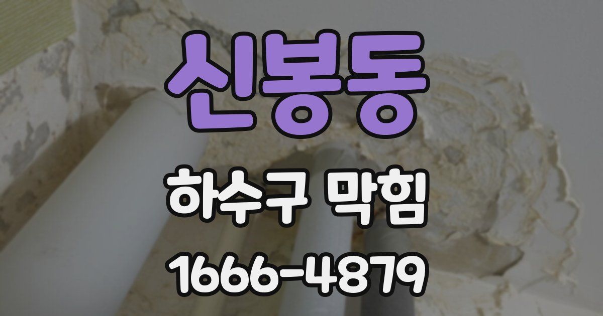 신봉동 하수구 막힘