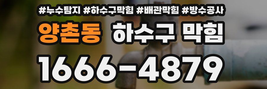 양촌동 하수구 막힘