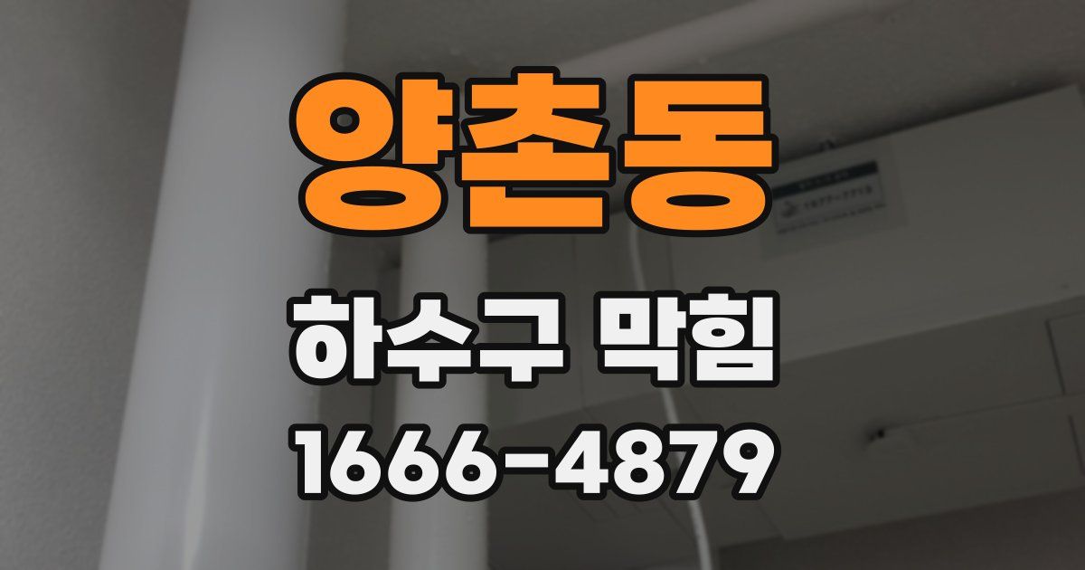 양촌동 하수구 막힘
