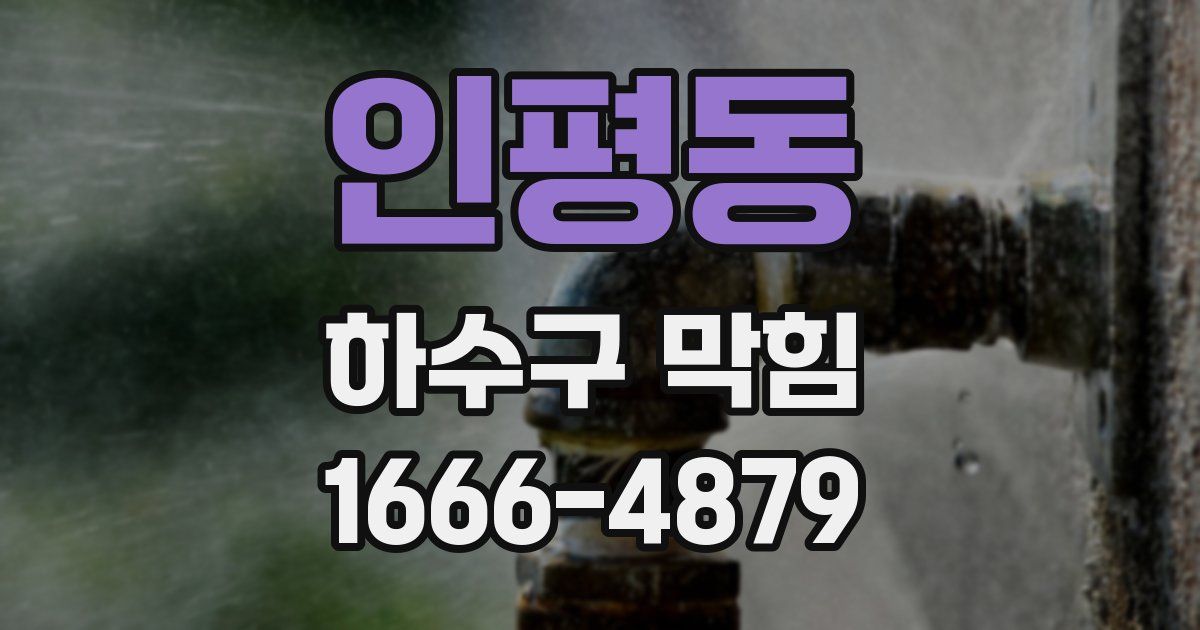 인평동 하수구 막힘