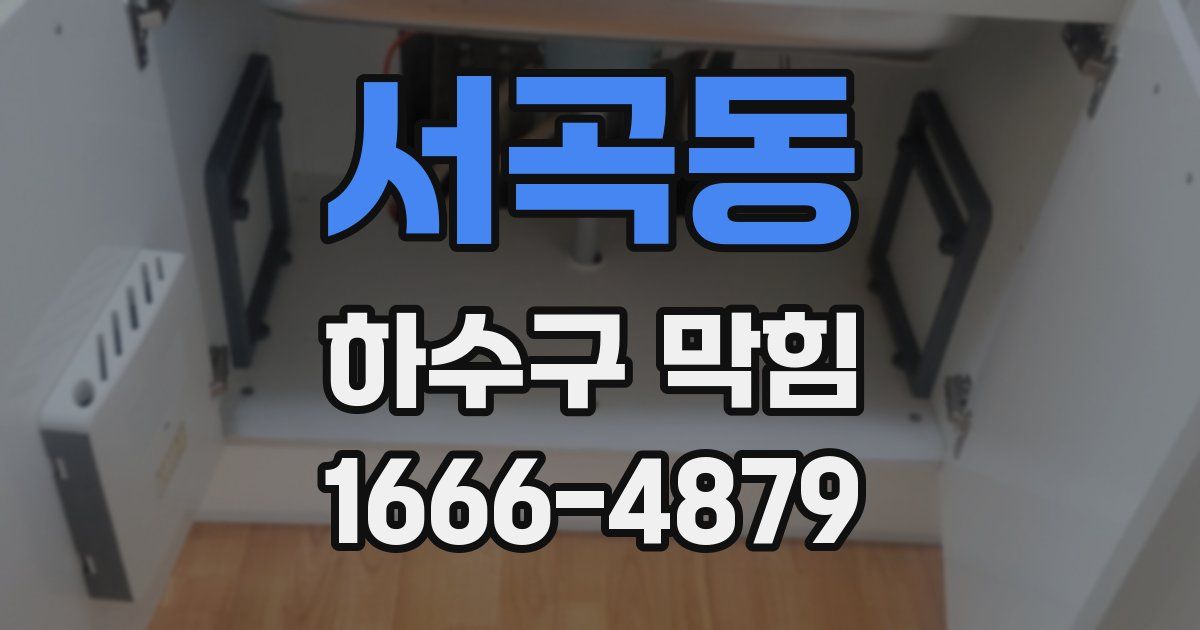 서곡동 하수구 막힘