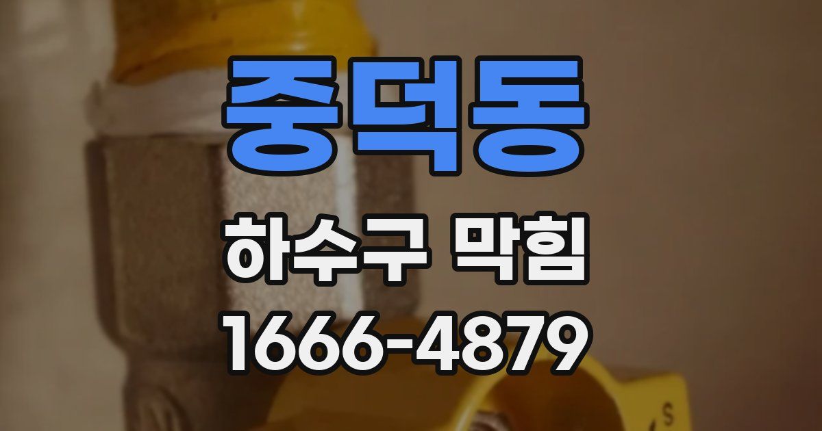 중덕동 하수구 막힘