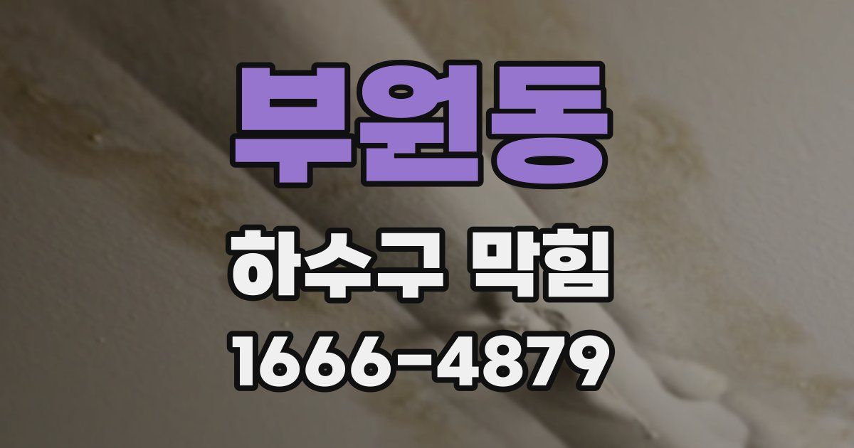 부원동 하수구 막힘