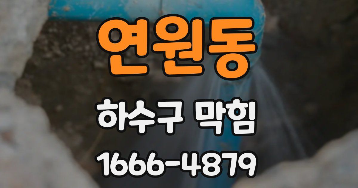 연원동 하수구 막힘