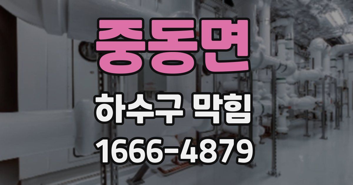 중동면 하수구 막힘