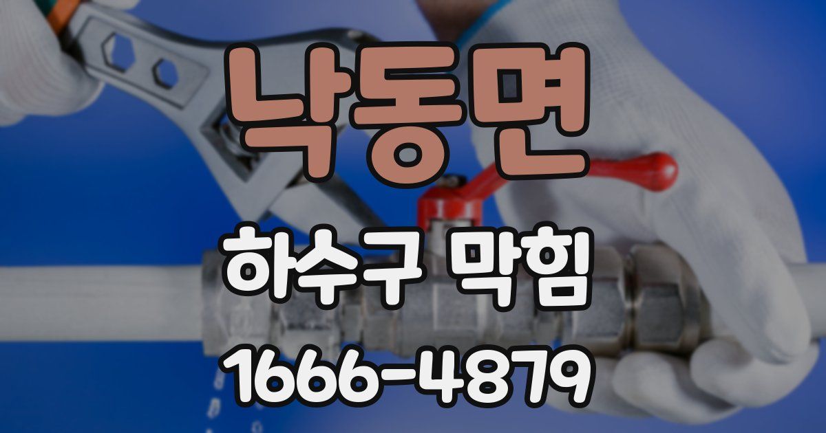 낙동면 하수구 막힘