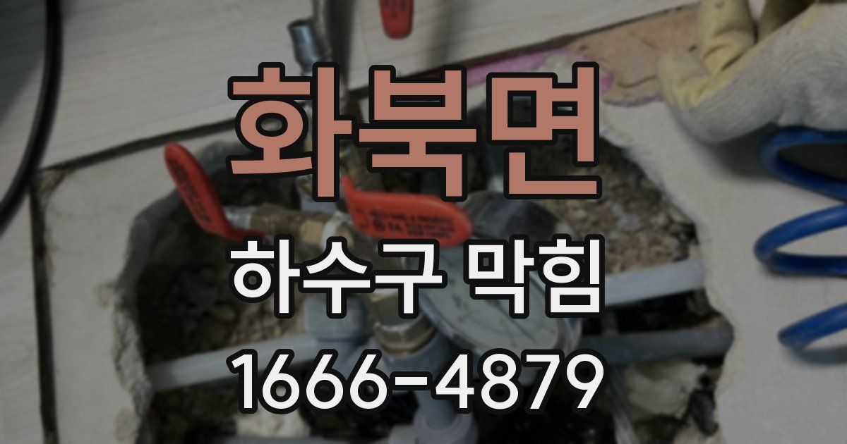 화북면 하수구 막힘