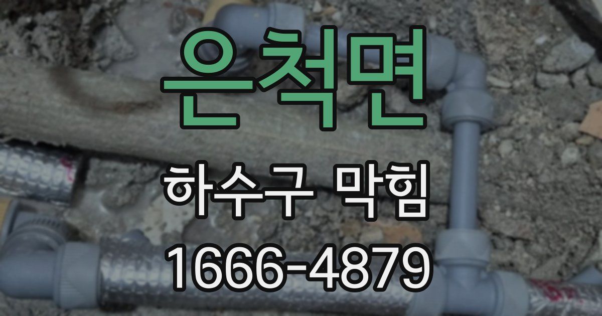 은척면 하수구 막힘