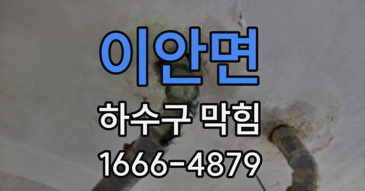 이안면 하수구 막힘