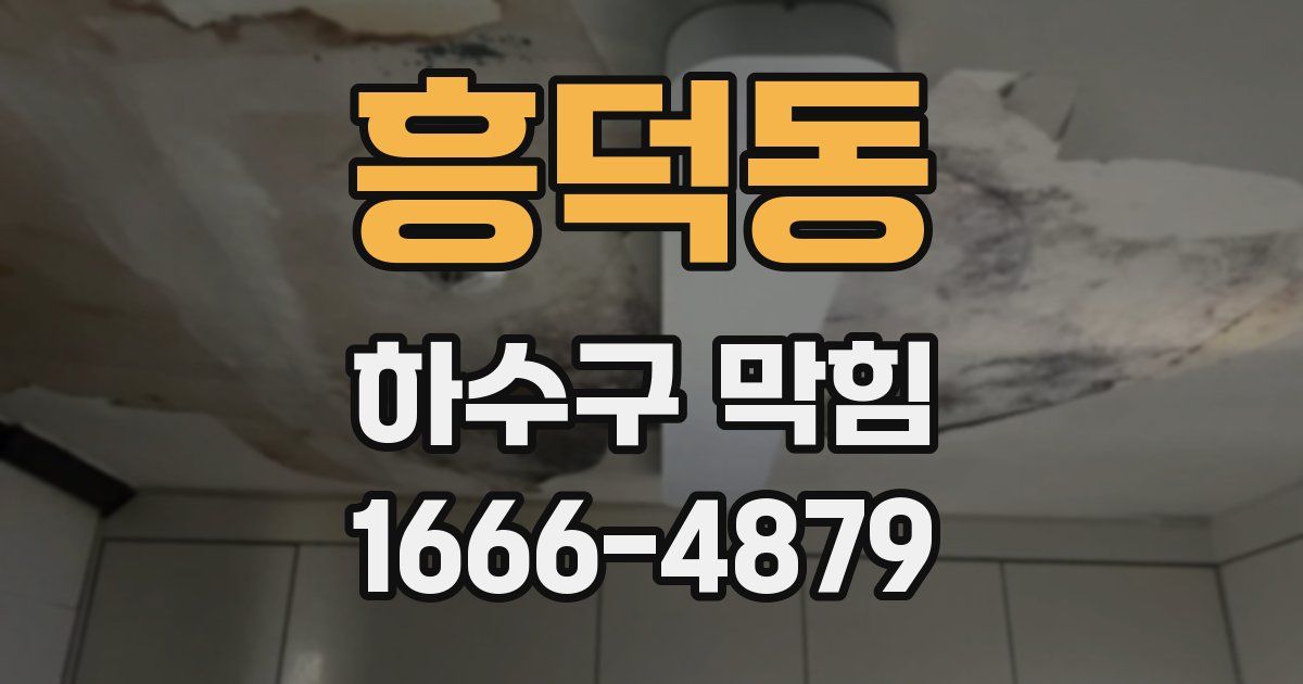 흥덕동 하수구 막힘