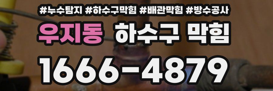 우지동 하수구 막힘