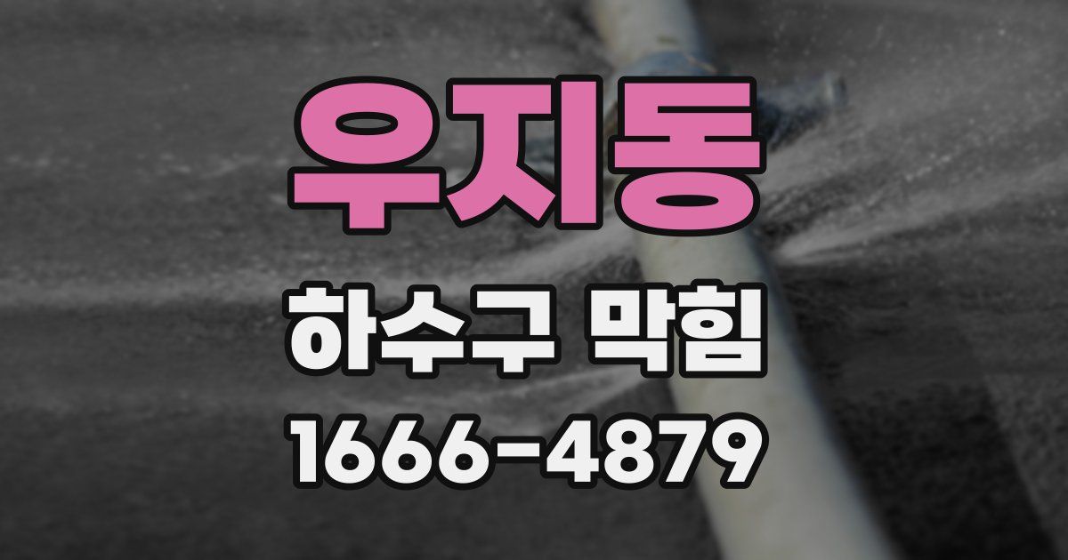 우지동 하수구 막힘