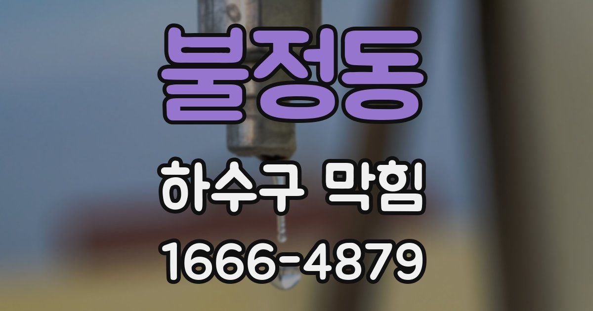 불정동 하수구 막힘