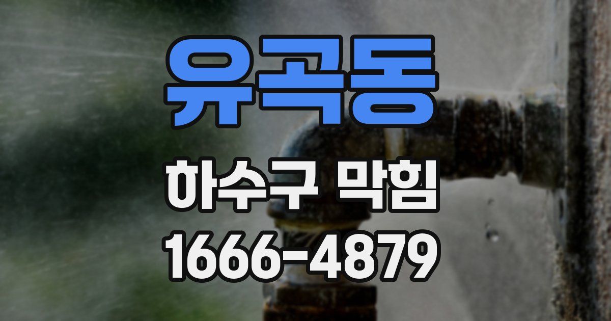 유곡동 하수구 막힘