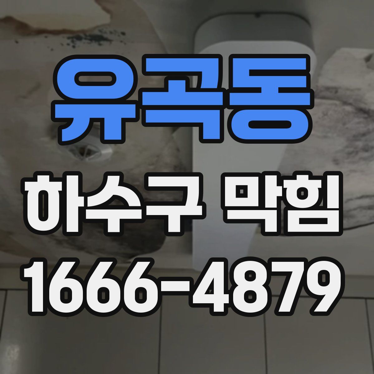 유곡동 하수구 막힘