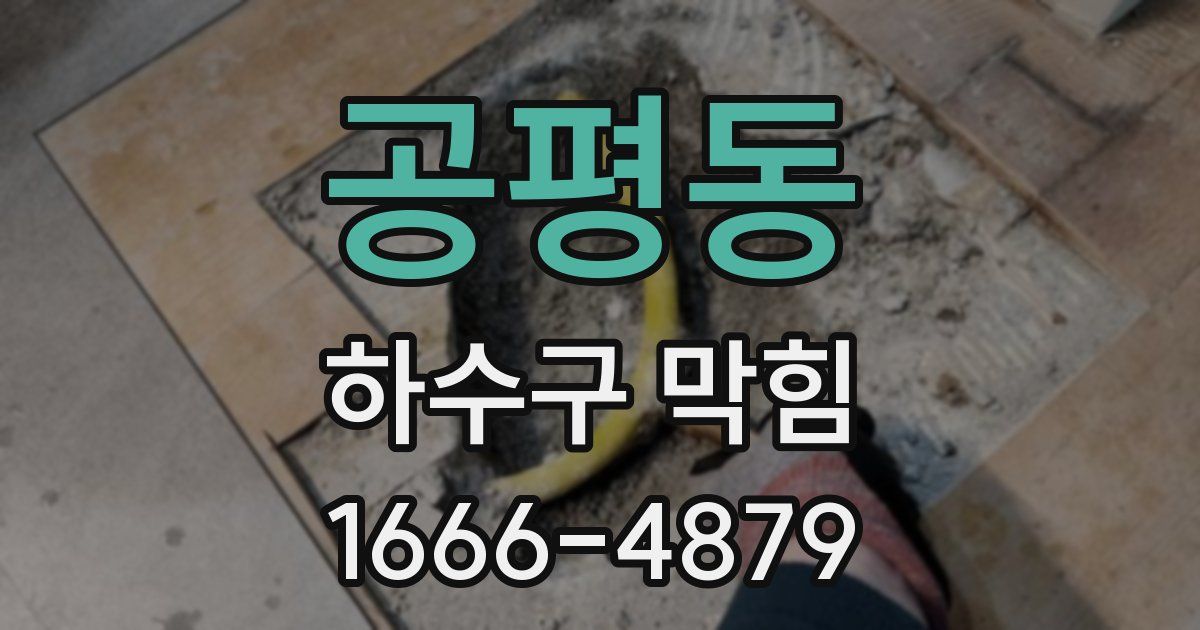 공평동 하수구 막힘