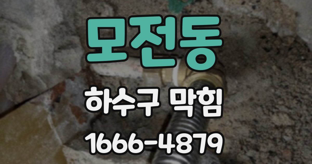 모전동 하수구 막힘
