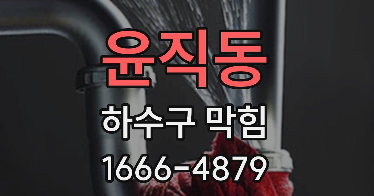 윤직동 하수구 막힘