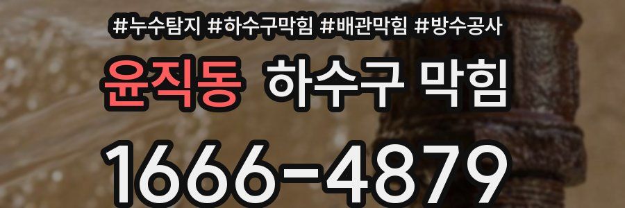 윤직동 하수구 막힘