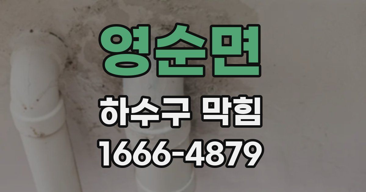 영순면 하수구 막힘