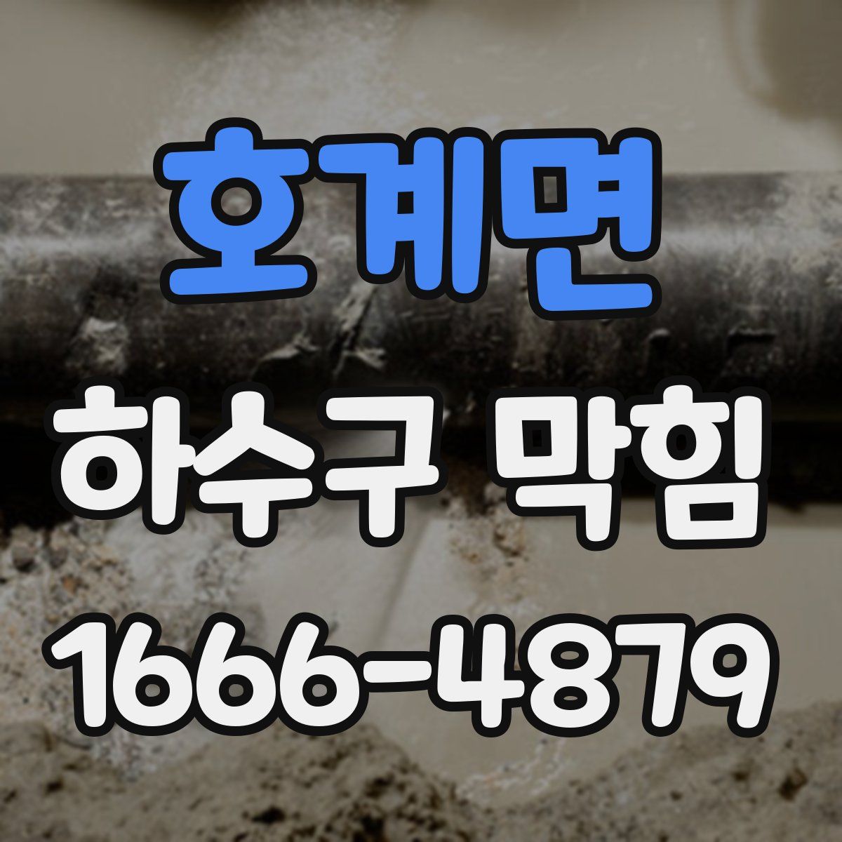 호계면 하수구 막힘