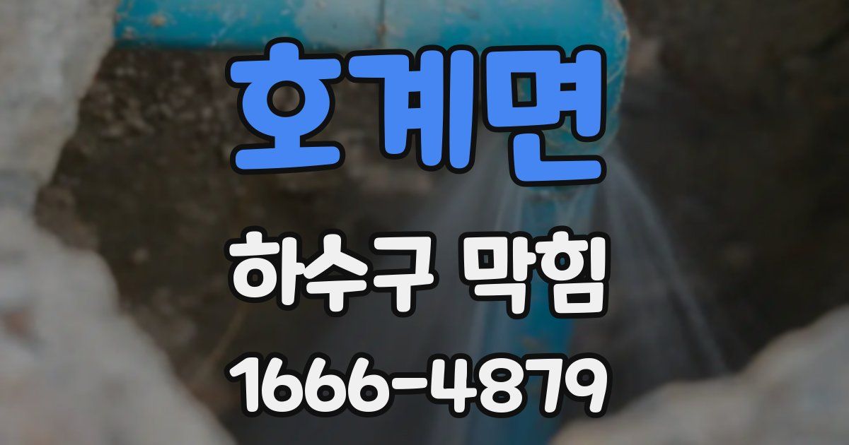 호계면 하수구 막힘