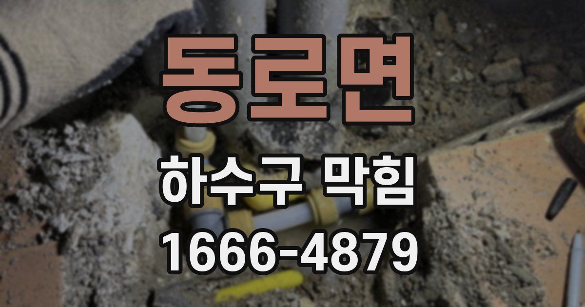 동로면 하수구 막힘