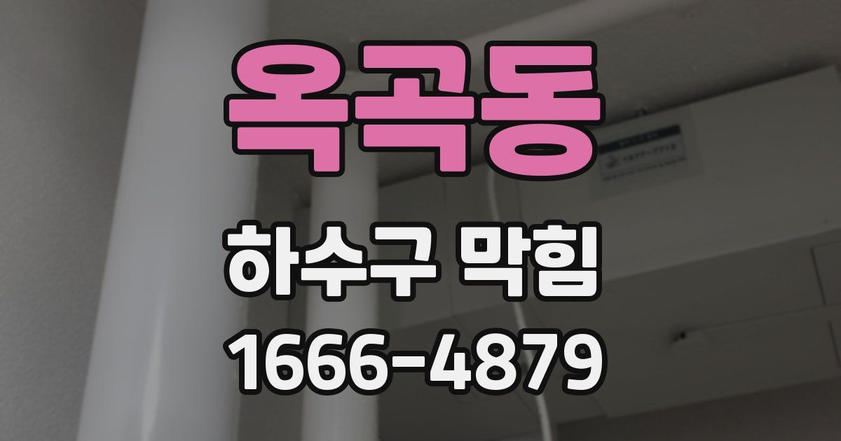 옥곡동 하수구 막힘