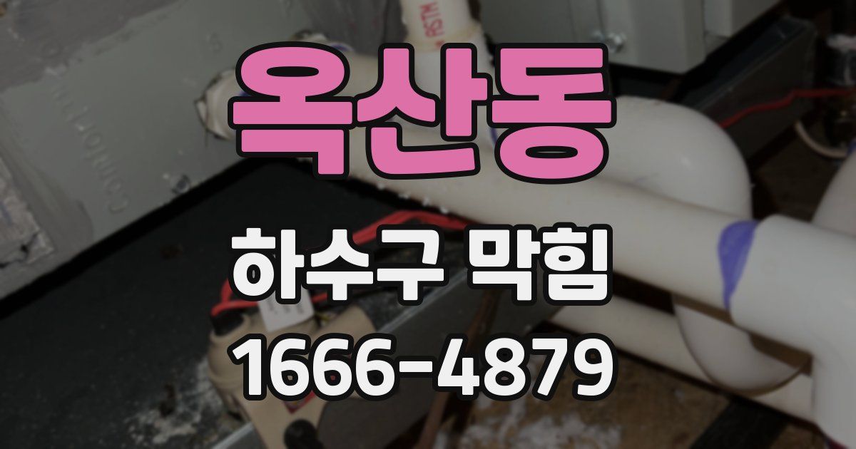 옥산동 하수구 막힘