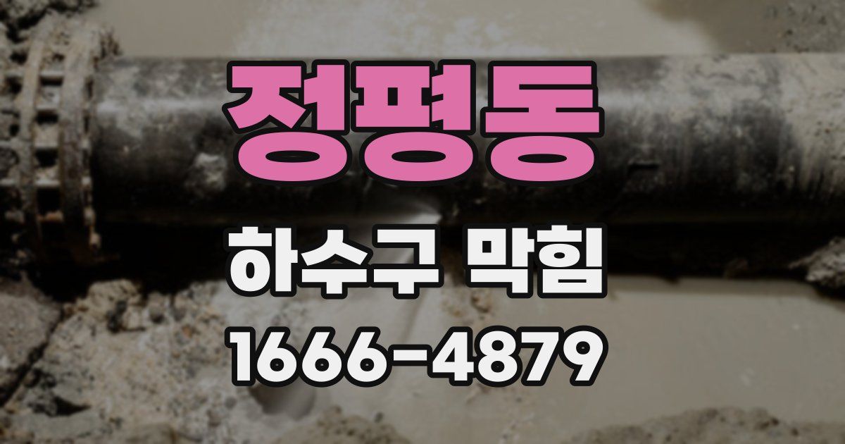 정평동 하수구 막힘