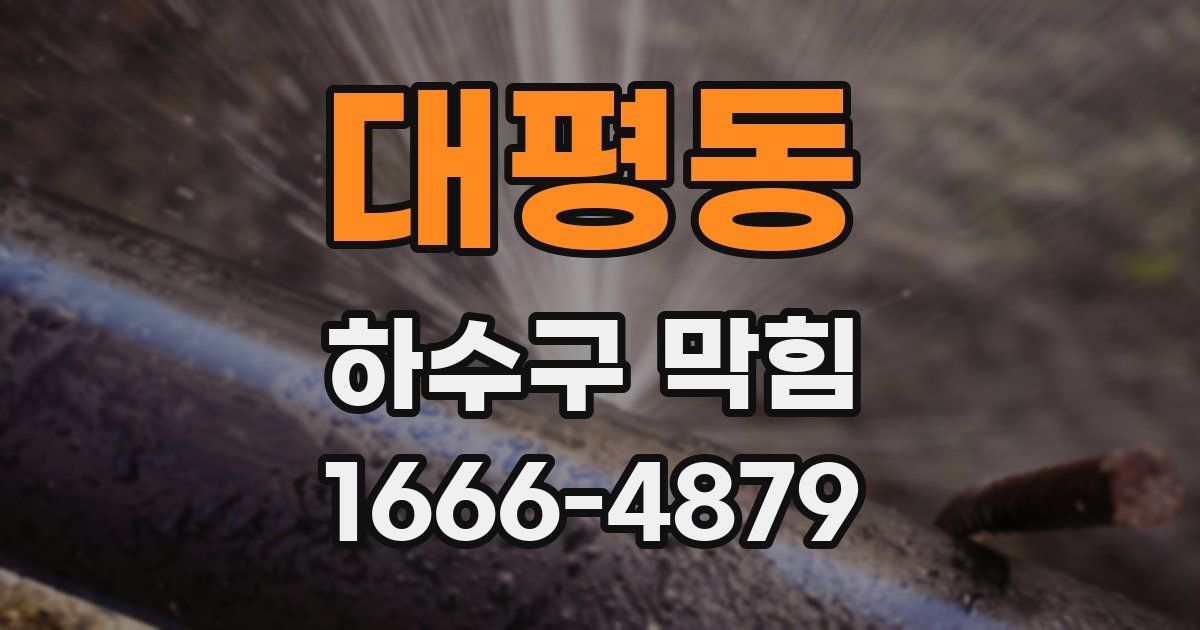 대평동 하수구 막힘