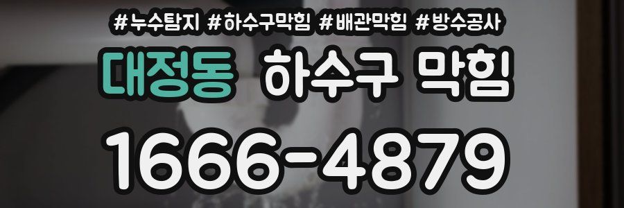 대정동 하수구 막힘