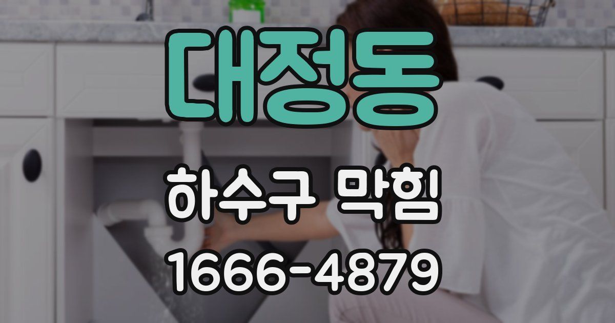 대정동 하수구 막힘