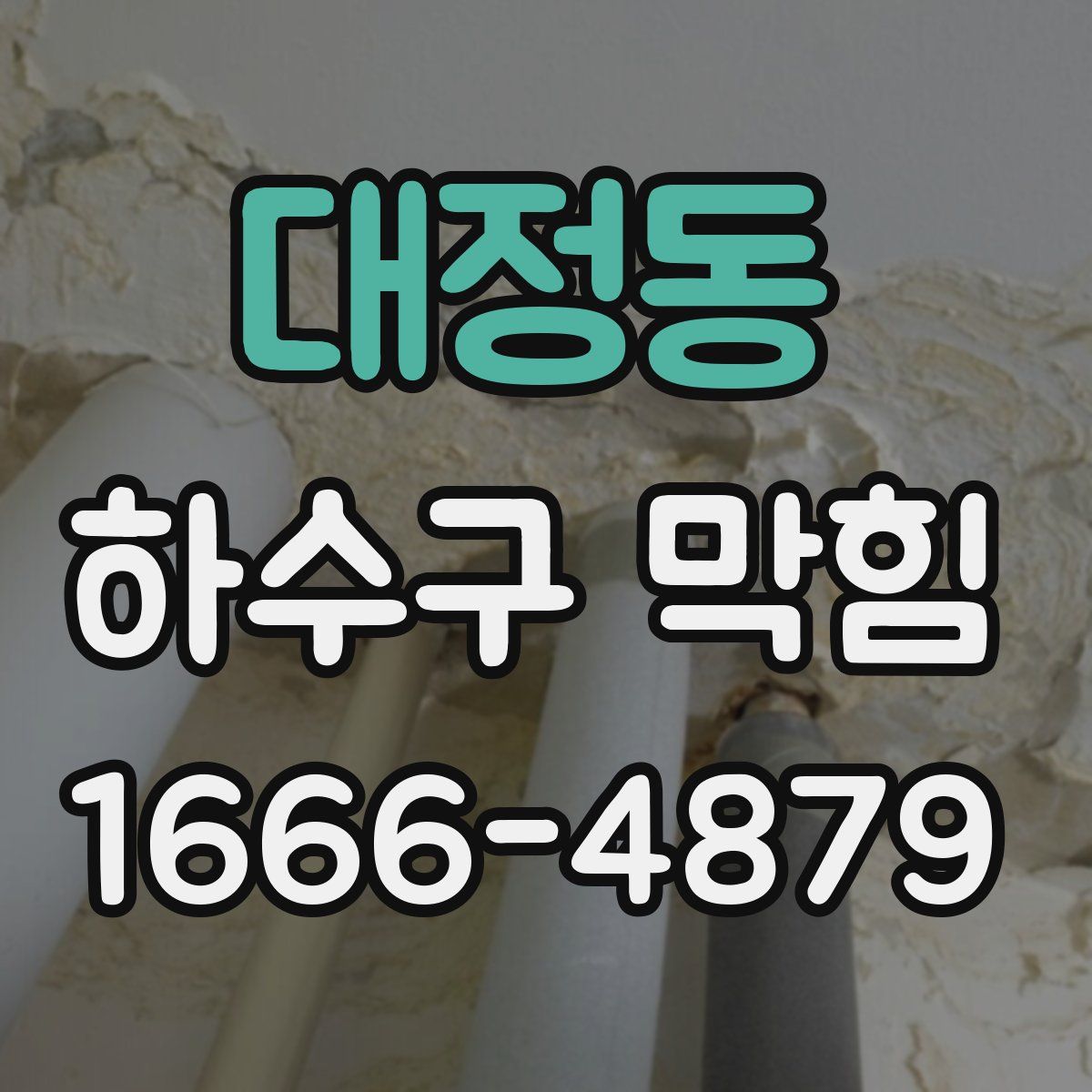 대정동 하수구 막힘