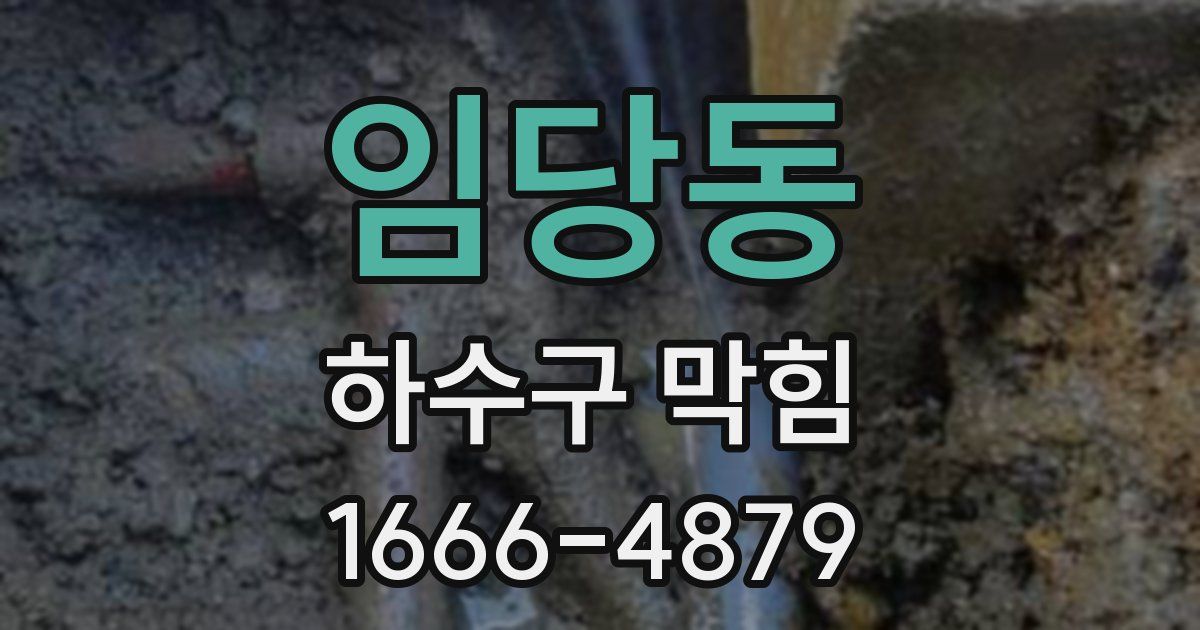 임당동 하수구 막힘