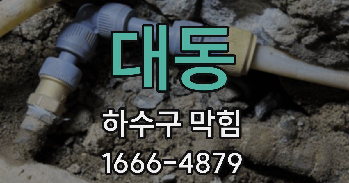 대동 하수구 막힘