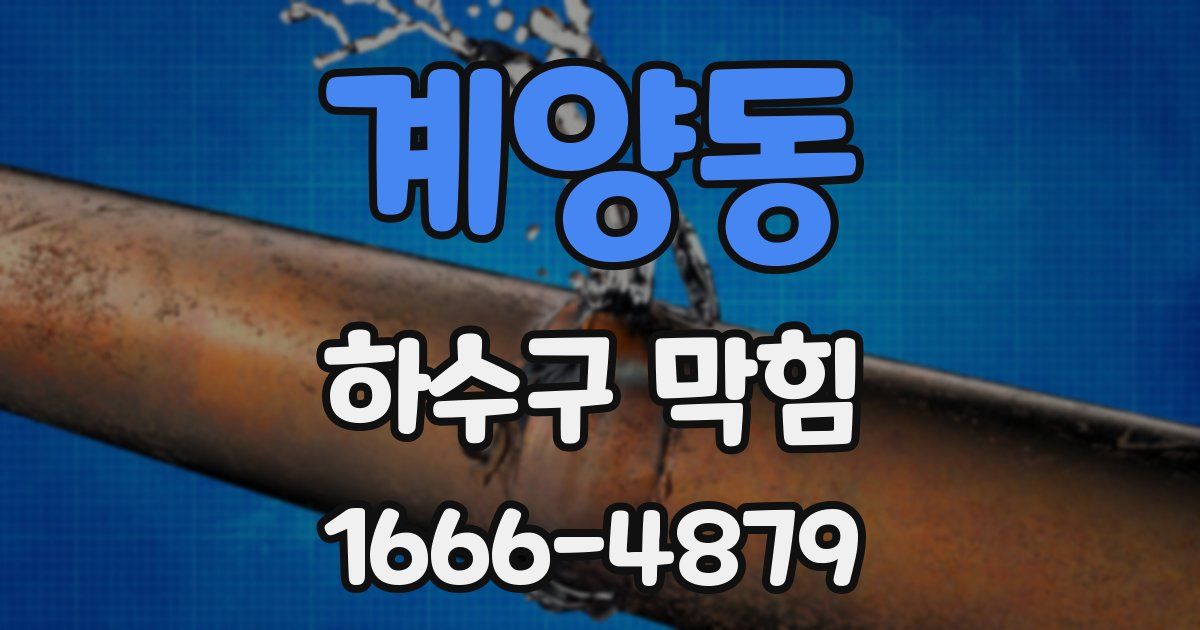 계양동 하수구 막힘