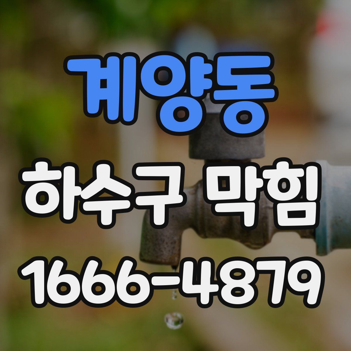 계양동 하수구 막힘