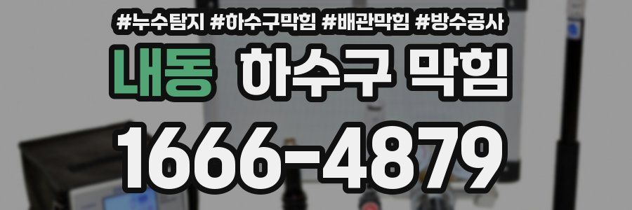 내동 하수구 막힘