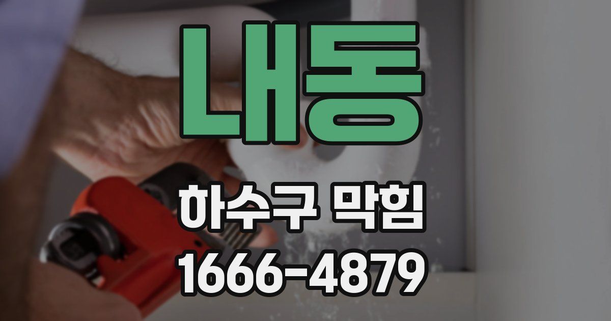 내동 하수구 막힘