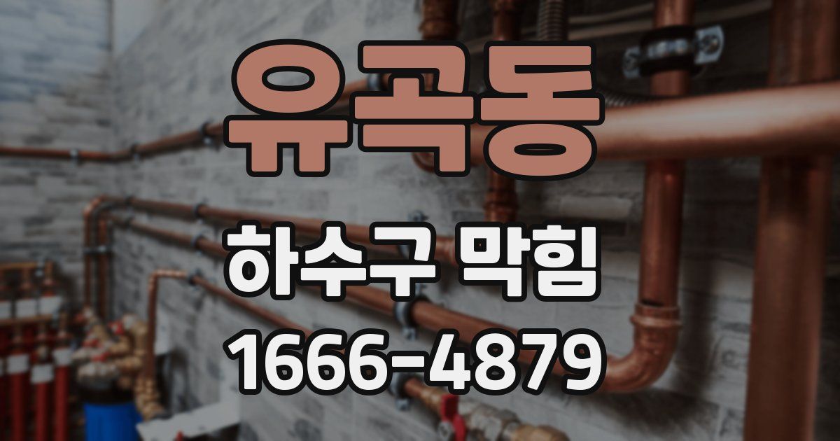 유곡동 하수구 막힘