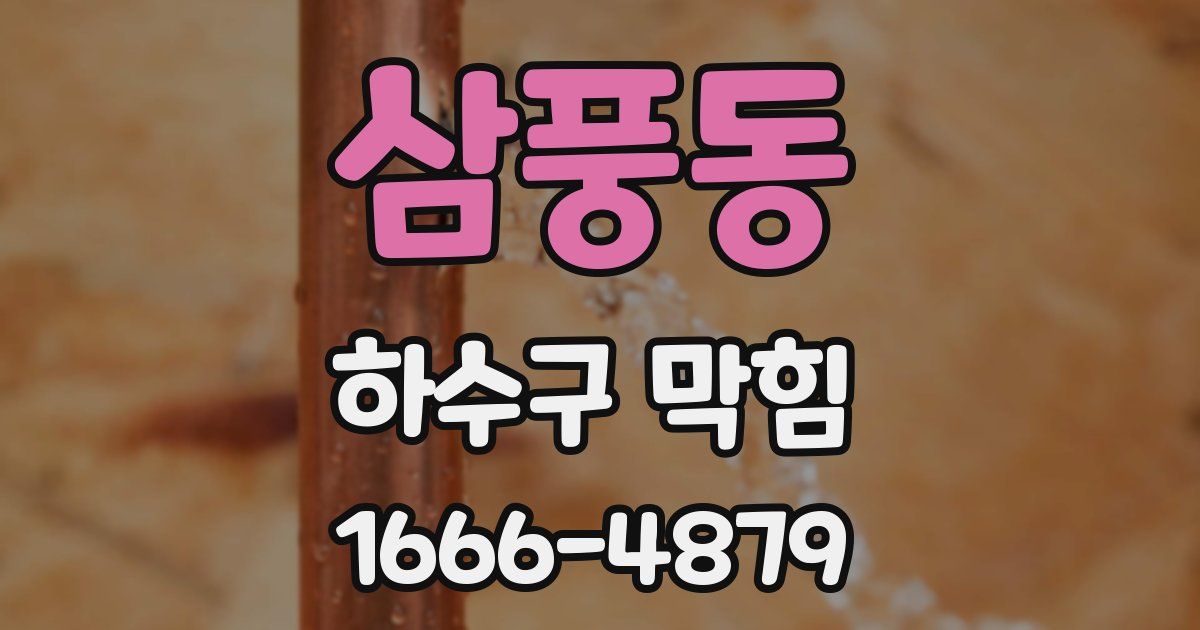 삼풍동 하수구 막힘