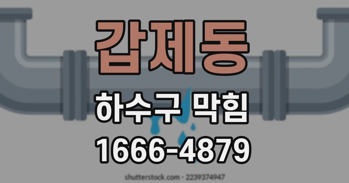 갑제동 하수구 막힘