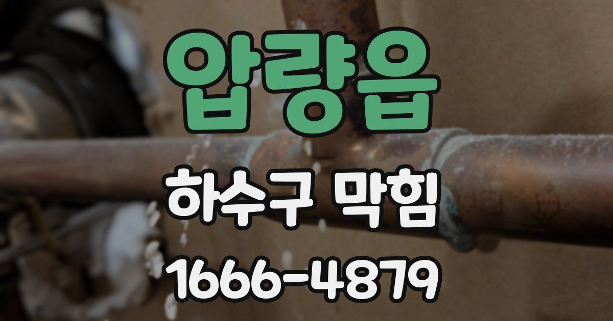 압량읍 하수구 막힘