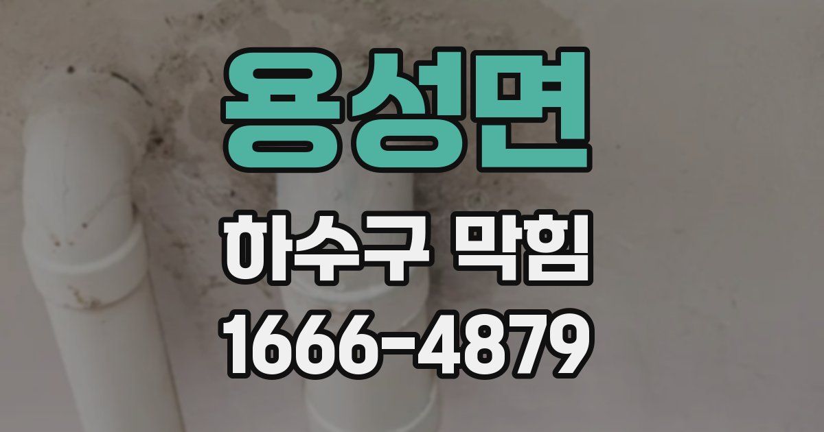 용성면 하수구 막힘