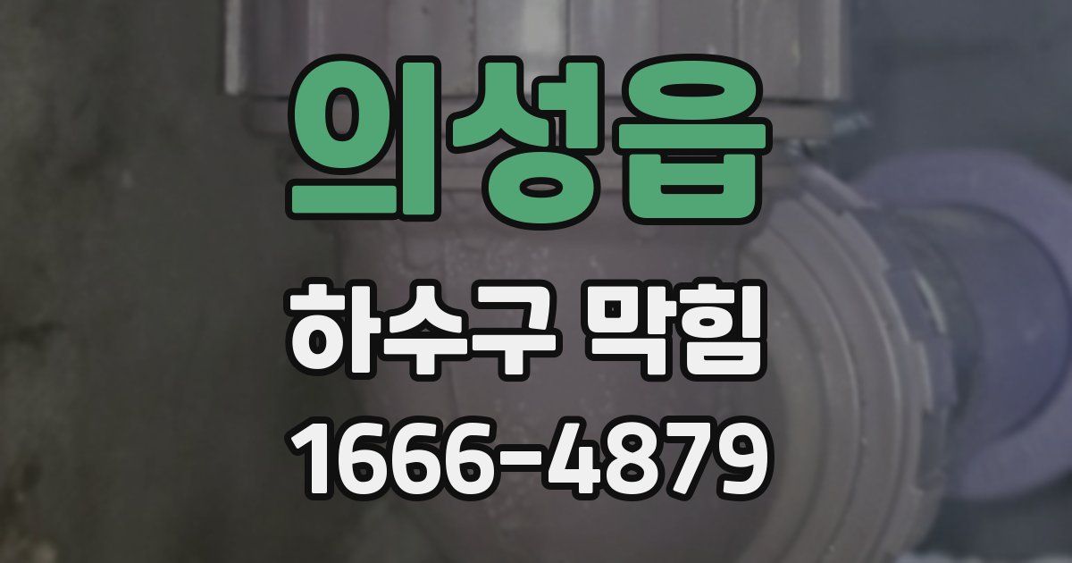 의성읍 하수구 막힘