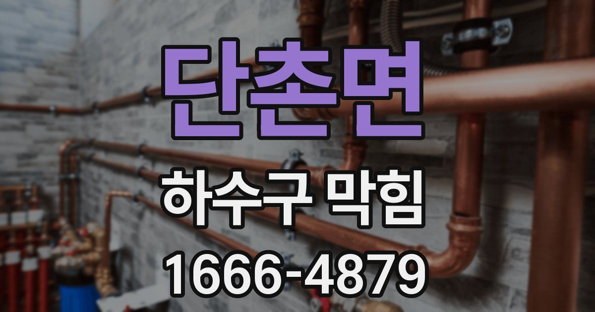 단촌면 하수구 막힘